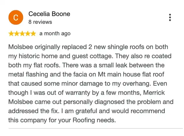 5-star Google review from Cecelia Boone