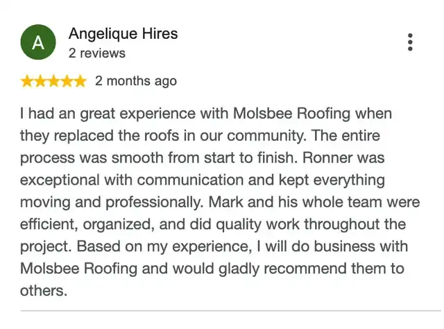 5-star Google review from Angelique Hires