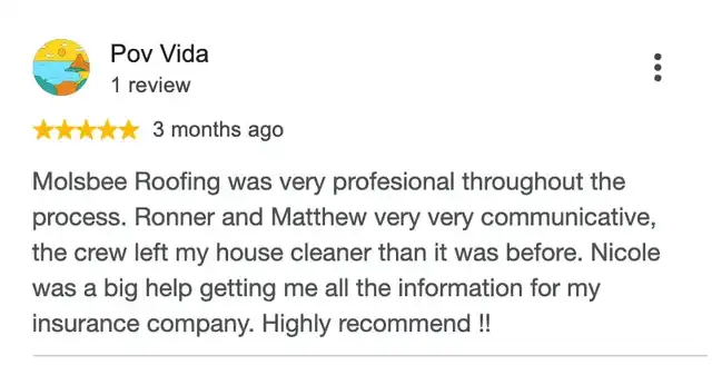 5-star Google review from Pov Vida