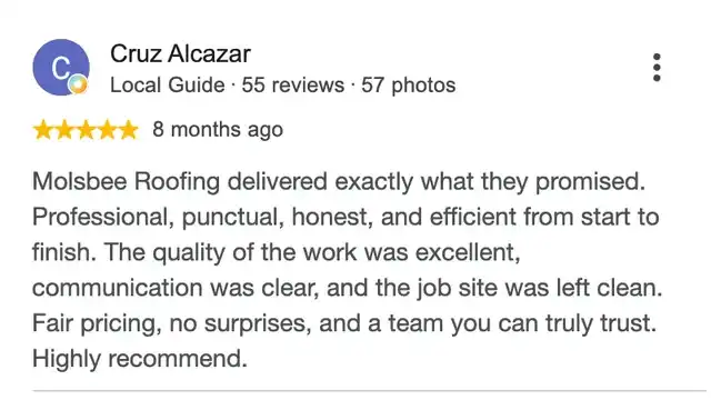 5-star Google review from Cruz Alcazar
