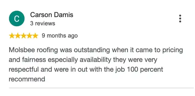 5-star Google review from Carson Damis