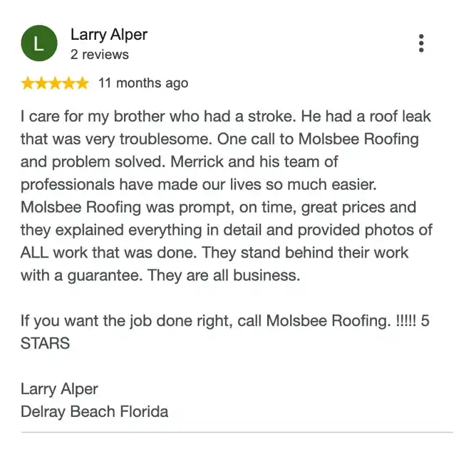 5-star Google review from Larry Alper