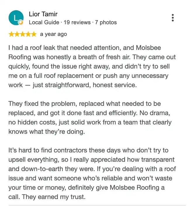 5-star Google review from Lior Tamir