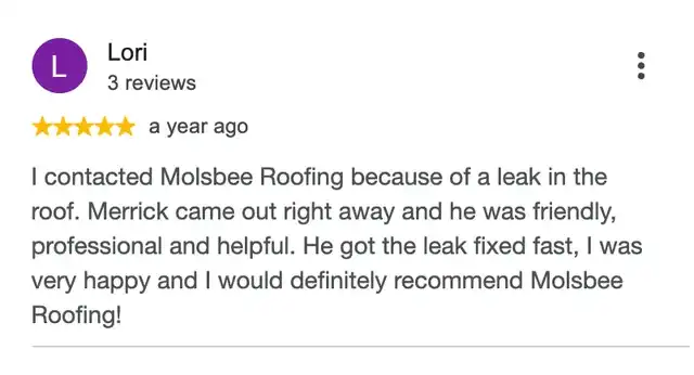 5-star Google review from Lori